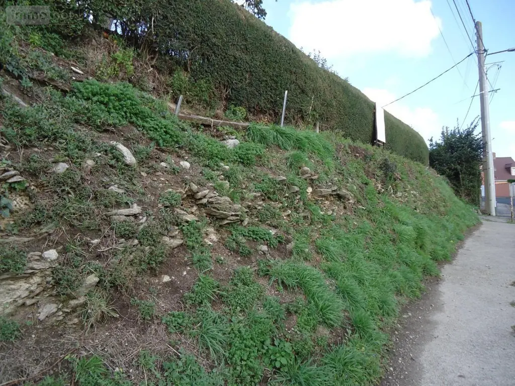 Terrain a batir a vendre Cherbourg-en-Cotentin 50120 Manche 50 47646 euros 50112-820 002