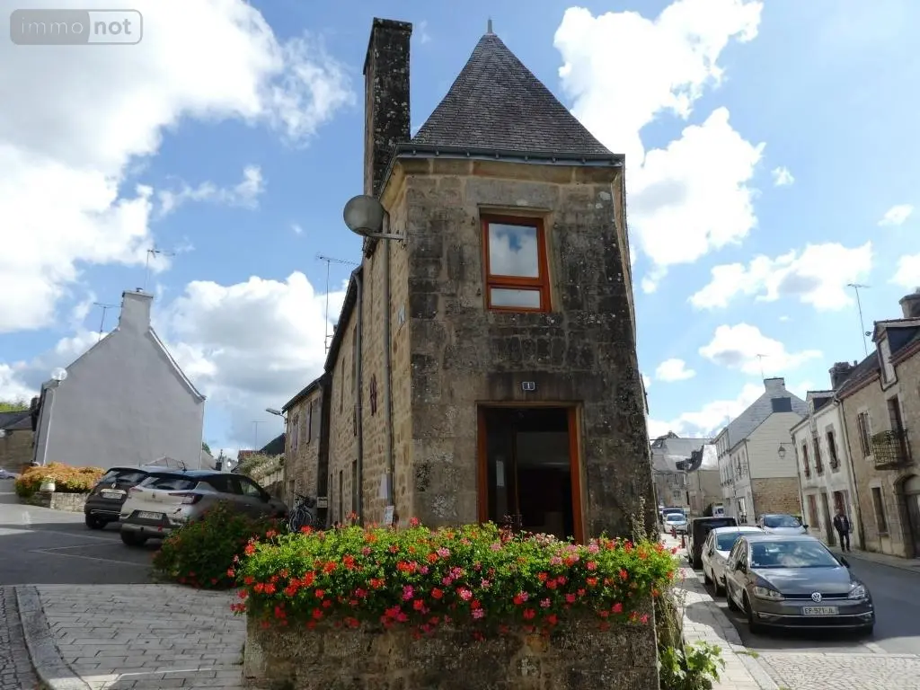 Immeuble de rapport a vendre Guémené-sur-Scorff 56160 Morbihan 56 70 m2 105750 euros 56075-2276 003