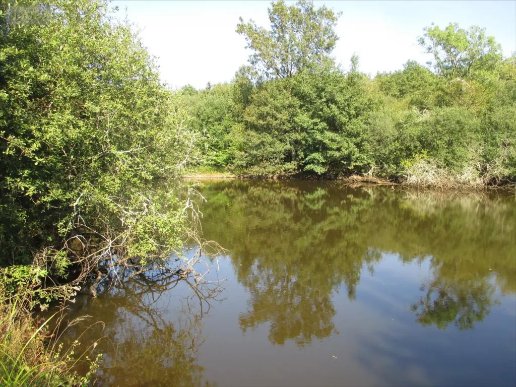 Terrains de loisirs bois etangs a vendre Fleurey-lès-Faverney 70160 Haute-Saône 70 97000 euros CP/E44 012