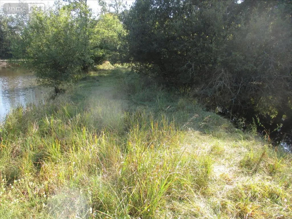 Terrains de loisirs bois etangs a vendre Fleurey-lès-Faverney 70160 Haute-Saône 70 97000 euros CP/E44 013