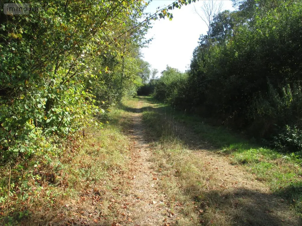 Terrains de loisirs bois etangs a vendre Fleurey-lès-Faverney 70160 Haute-Saône 70 97000 euros CP/E44 002