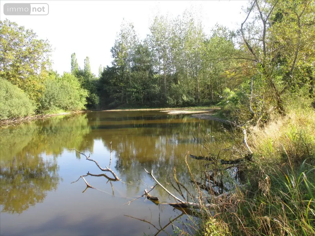 Terrains de loisirs bois etangs a vendre Fleurey-lès-Faverney 70160 Haute-Saône 70 97000 euros CP/E44 006