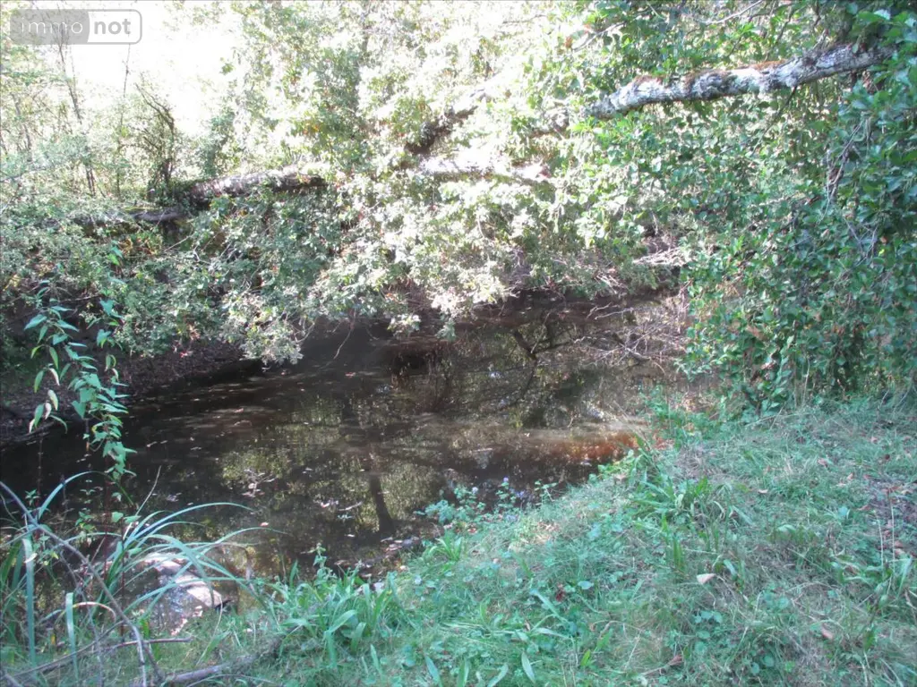 Terrains de loisirs bois etangs a vendre Fleurey-lès-Faverney 70160 Haute-Saône 70 97000 euros CP/E44 007