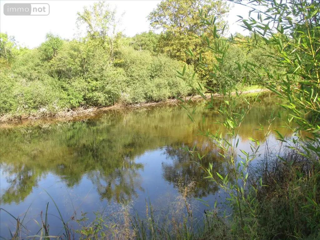 Terrains de loisirs bois etangs a vendre Fleurey-lès-Faverney 70160 Haute-Saône 70 97000 euros CP/E44 009