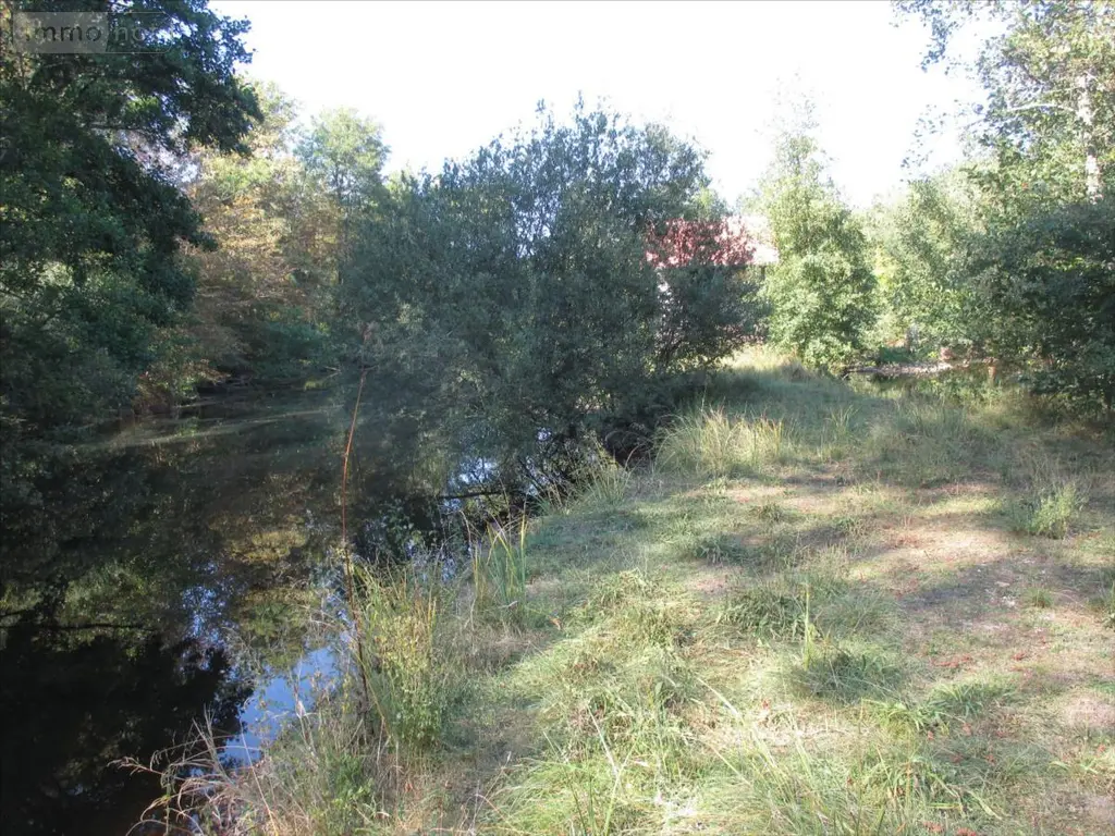 Terrains de loisirs bois etangs a vendre Fleurey-lès-Faverney 70160 Haute-Saône 70 97000 euros CP/E44 010