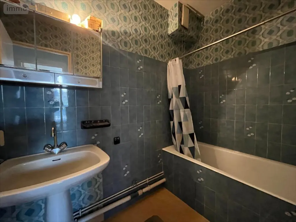 Maison a vendre Blois 41000 Loir-et-Cher 41 101 m2 4 pièces 168970 euros 41002-1069637 010