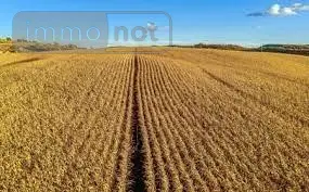 Bien agricole a vendre Levroux 36110 Indre 36 2967000 euros 021/1529 012