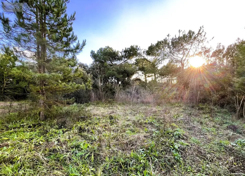 Terrain a batir a vendre Saint-Michel-Chef-Chef 44730 Loire-Atlantique 44 520350 euros 44086-1482 003