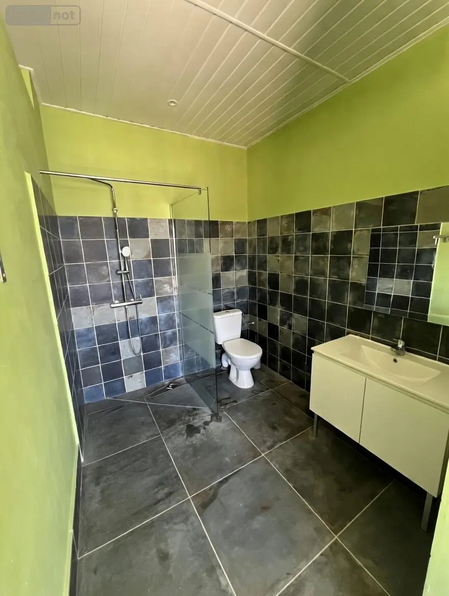 Maison a vendre Le Tampon 97430 La Réunion 974 186 m2 6 pièces 439000 euros 97411-315 015