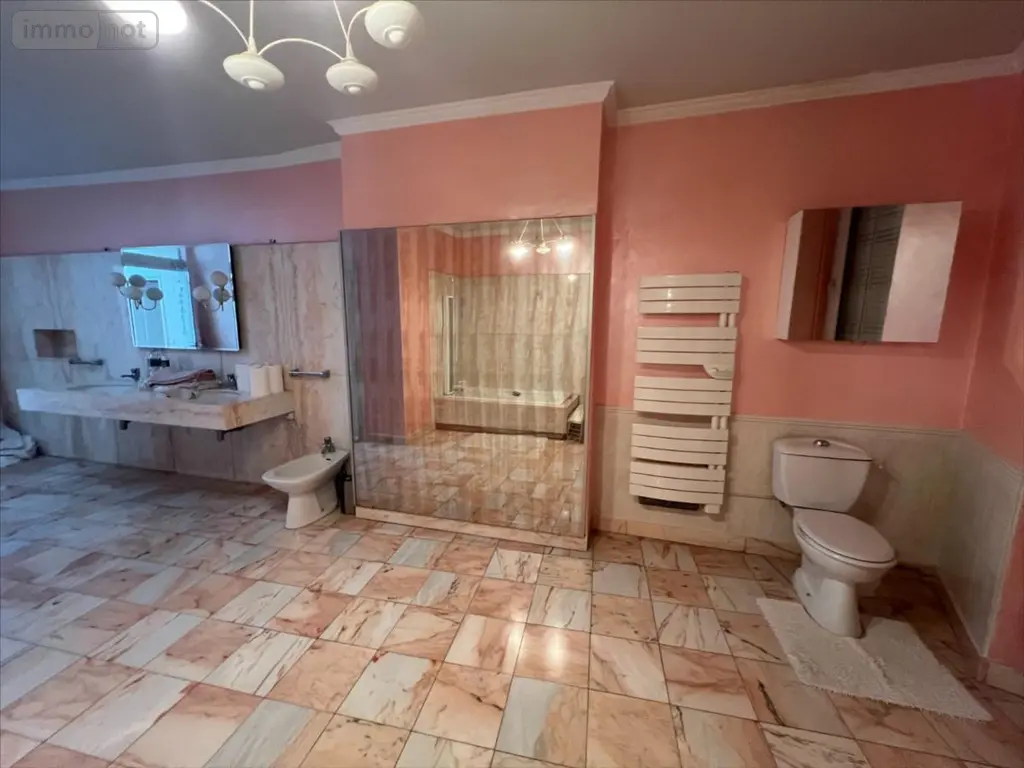 Immeuble de rapport a vendre Le Mans 72000 Sarthe 72 373 m2 385800 euros 72003-1096355 008