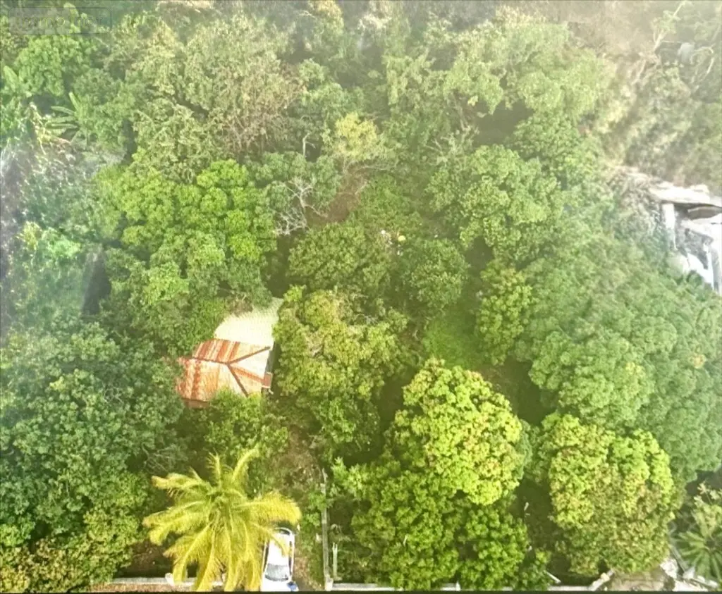 Terrain a batir a vendre Saint-Pierre 97410 La Réunion 974 354464 euros 97410-1088926 002