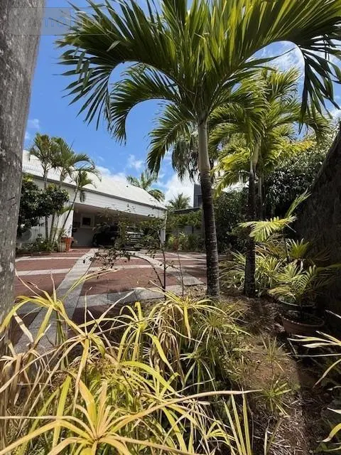 Maison a vendre Saint-Pierre 97410 La Réunion 974 251 m2 5 pièces 724500 euros 97410-1089675 006
