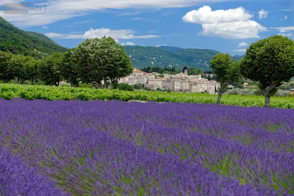 Fonds et murs commerciaux a vendre Montélimar 26200 Drôme 26 800 m2 1100000 euros 26060-749 001