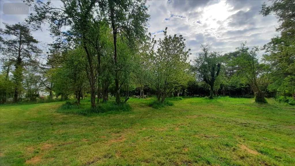 Terrain a batir a vendre Valençay 36600 Indre 36 25000 euros 021/1530 002