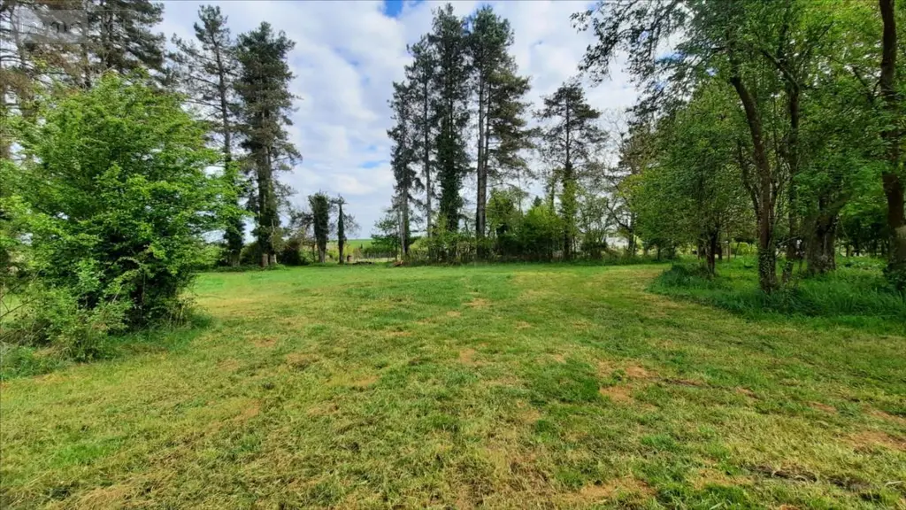 Terrain a batir a vendre Valençay 36600 Indre 36 25000 euros 021/1530 001