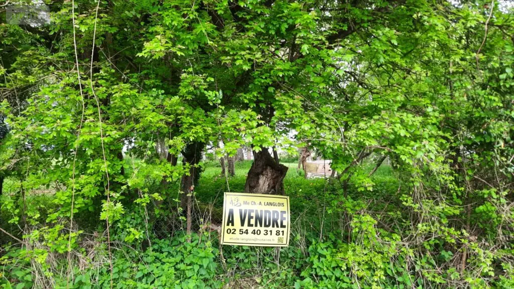 Terrain a batir a vendre Valençay 36600 Indre 36 25000 euros 021/1530 005