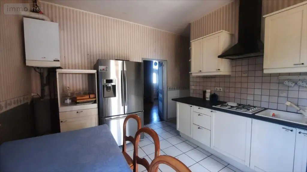 Maison a vendre Theillay 41300 Loir-et-Cher 41 225 m2 10 pièces 297900 euros 021/1541 011