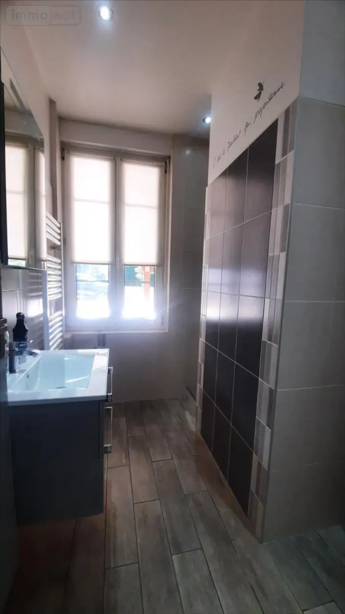 Maison a vendre Theillay 41300 Loir-et-Cher 41 225 m2 10 pièces 297900 euros 021/1541 014