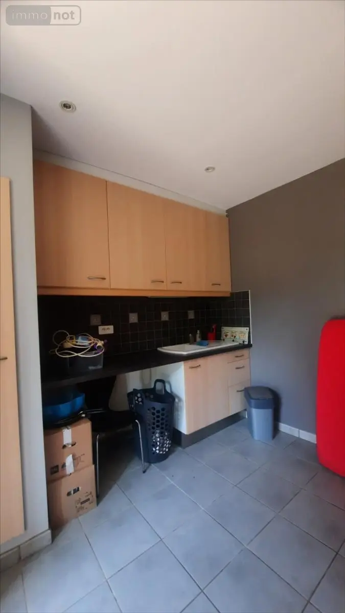 Maison a vendre Theillay 41300 Loir-et-Cher 41 225 m2 10 pièces 297900 euros 021/1541 021