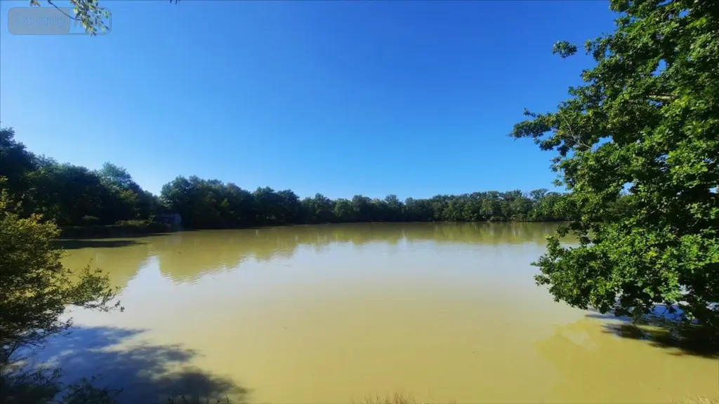 Terrains de loisirs bois etangs a vendre Arthon 36330 Indre 36 196200 euros 021/1555 003