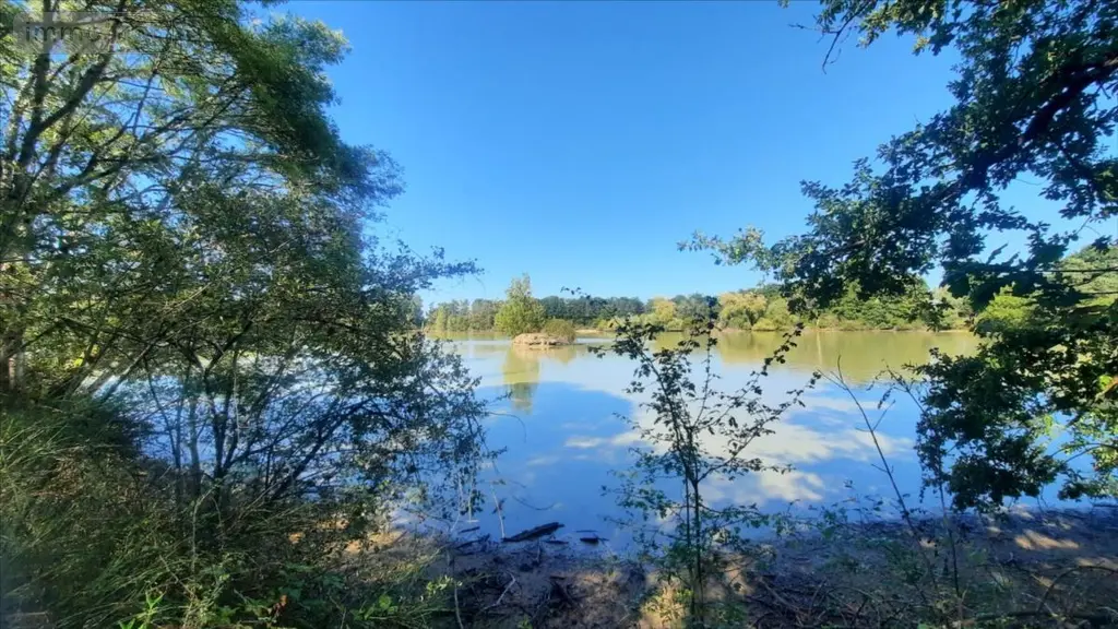Terrains de loisirs bois etangs a vendre Arthon 36330 Indre 36 196200 euros 021/1555 005