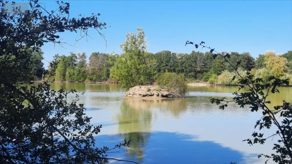 Terrains de loisirs bois etangs a vendre Arthon 36330 Indre 36 196200 euros 021/1555 006