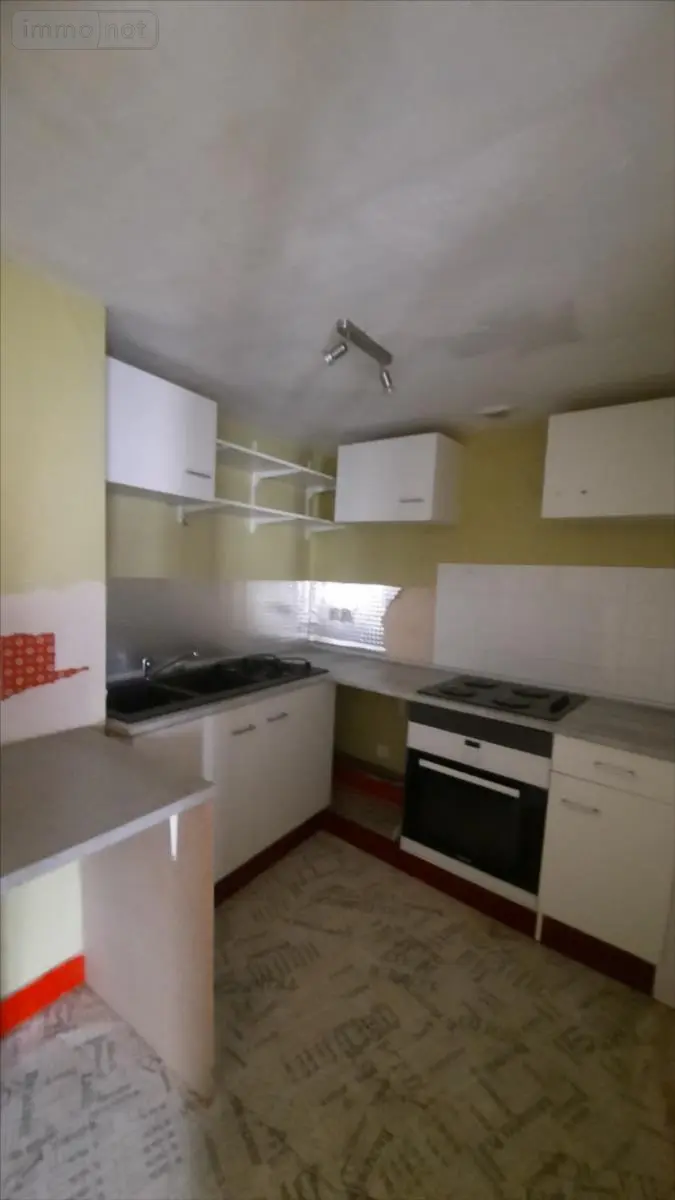 Immeuble de rapport a vendre Valençay 36600 Indre 36 270 m2 75250 euros 021/1559 007