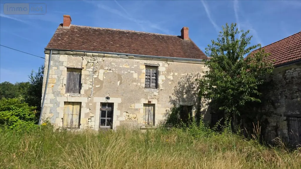 Maison a vendre Luçay-le-Mâle 36360 Indre 36 310 m2 9 pièces 49050 euros 021/1564 003