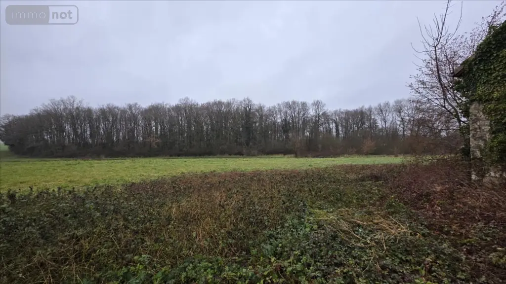 Maison a vendre Luçay-le-Mâle 36360 Indre 36 310 m2 9 pièces 49050 euros 021/1564 005
