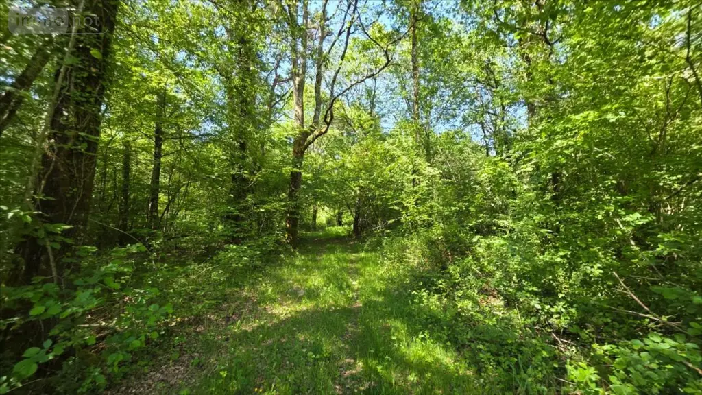 Maison a vendre Vendœuvres 36500 Indre 36 145 m2 5 pièces 1090000 euros 021/1582 010