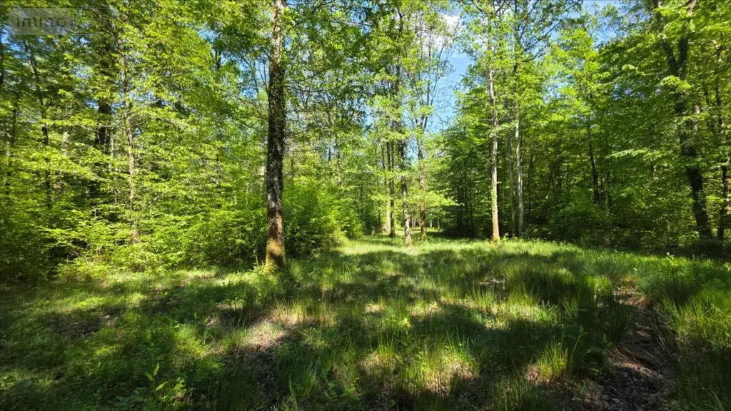 Maison a vendre Vendœuvres 36500 Indre 36 145 m2 5 pièces 1090000 euros 021/1582 011