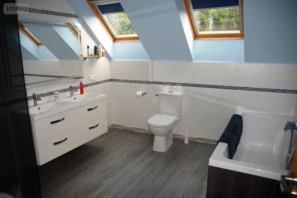 Maison a vendre Plouray 56770 Morbihan 56 700 m2 19 pièces 800680 euros 56075-2235 033