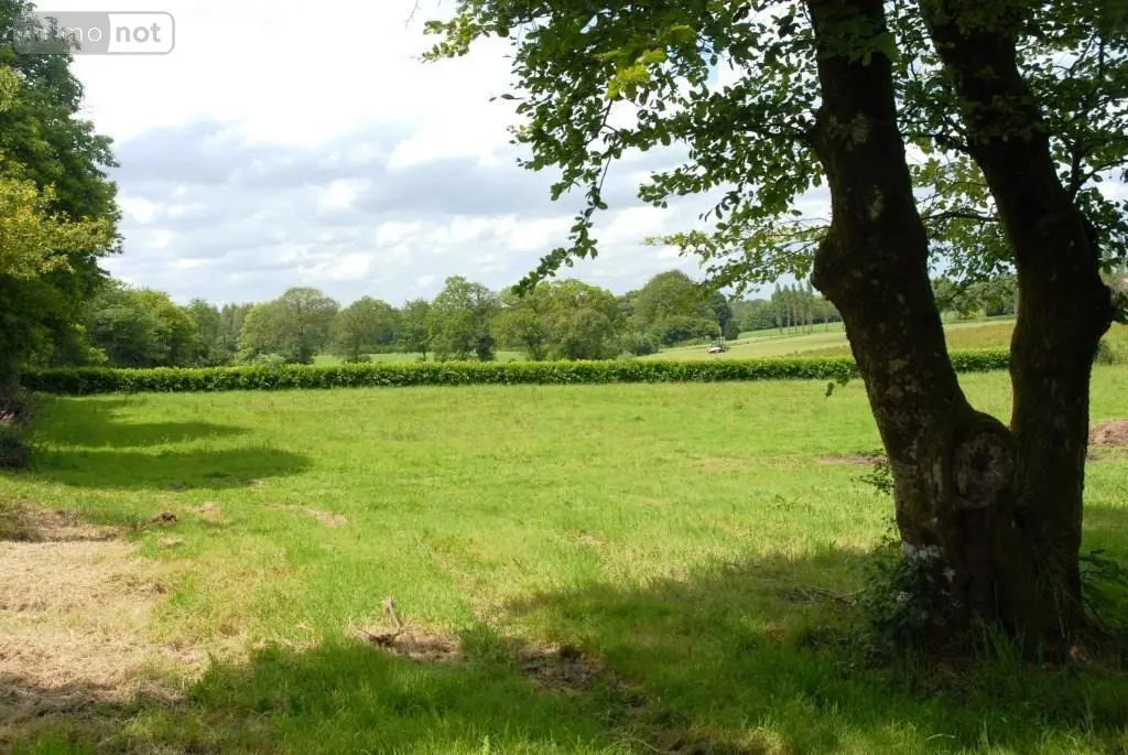Maison a vendre Plouray 56770 Morbihan 56 700 m2 19 pièces 800680 euros 56075-2235 046