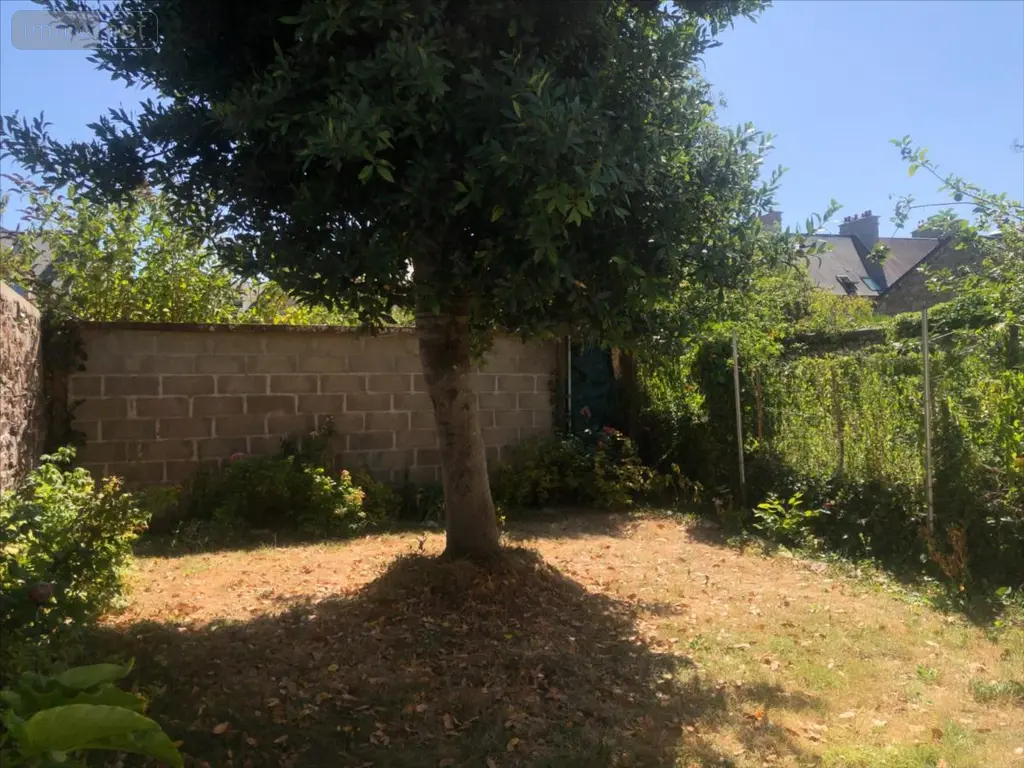 Location appartement Saint-Vaast-la-Hougue 50550 Manche 50 50 m2 3 pièces 650 euros LOCSV2621 010