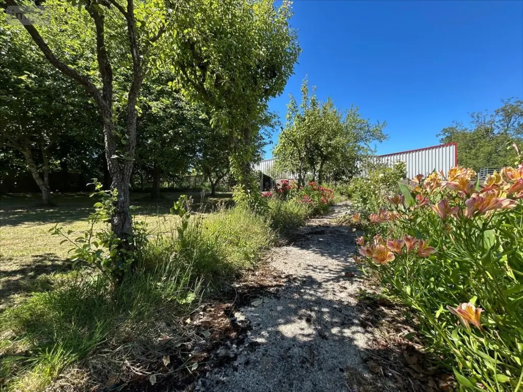 Maison a vendre Saint-Sauveur-le-Vicomte 50390 Manche 50 125 m2 6 pièces 262960 euros 50061-1095604 023