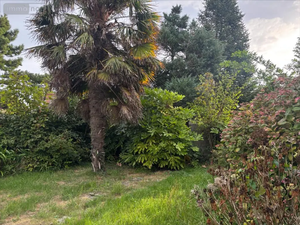 Maison a vendre Barfleur 50760 Manche 50 106 m2 6 pièces 353800 euros 3426 022