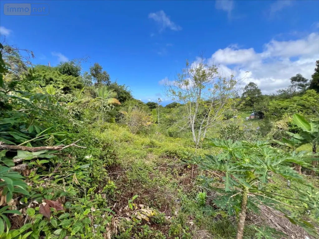 Terrain a batir a vendre Saint-Joseph 97480 La Réunion 974 86000 euros 28583 002