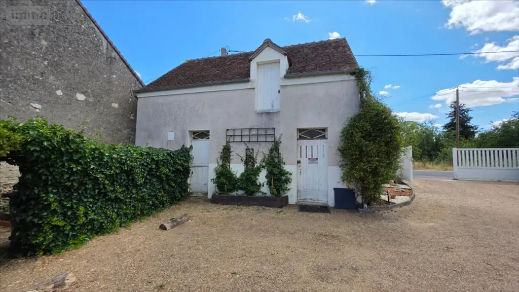 Maison a vendre Meusnes 41130 Loir-et-Cher 41 315 m2 11 pièces 372750 euros 021/1596 004