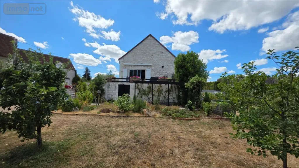 Maison a vendre Meusnes 41130 Loir-et-Cher 41 315 m2 11 pièces 372750 euros 021/1596 009