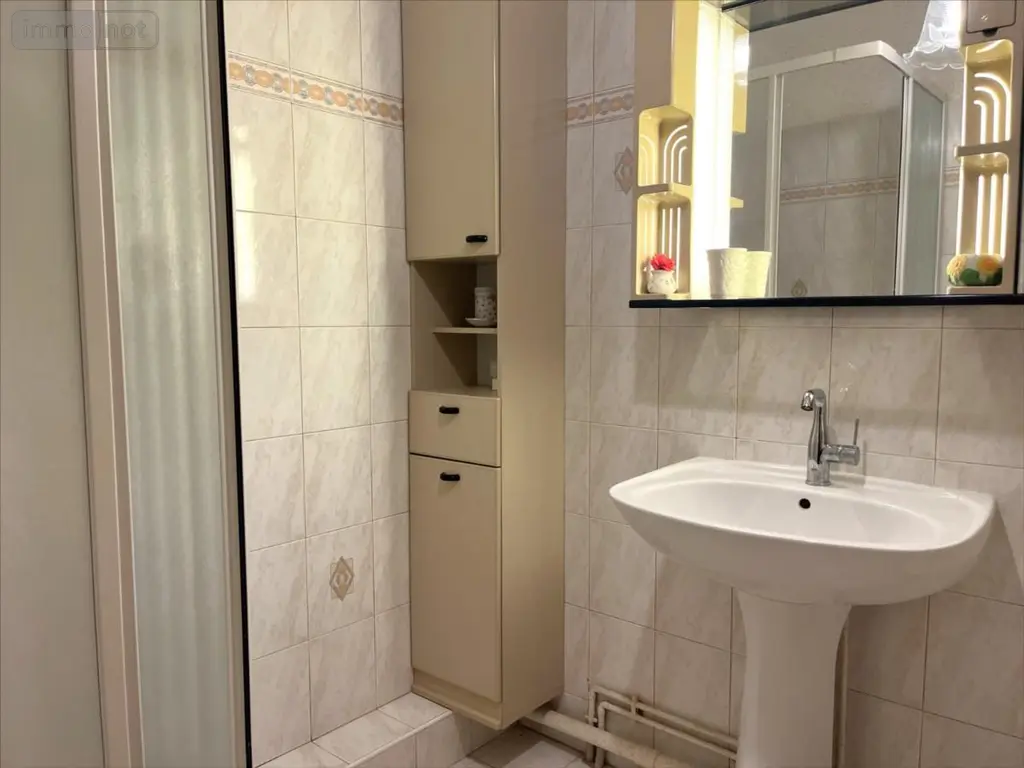 Appartement a vendre Blois 41000 Loir-et-Cher 41 91 m2 4 pièces 116870 euros 41002-1091786 011