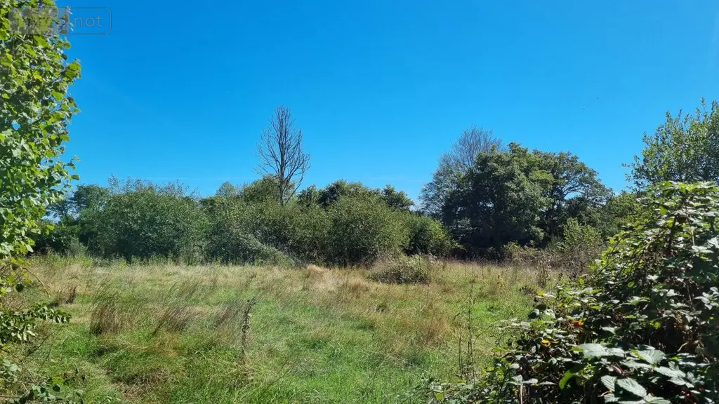 Maison a vendre Plusquellec 22160 Côtes-d'Armor 22 98 m2 3 pièces 73500 euros 29066-3908 015