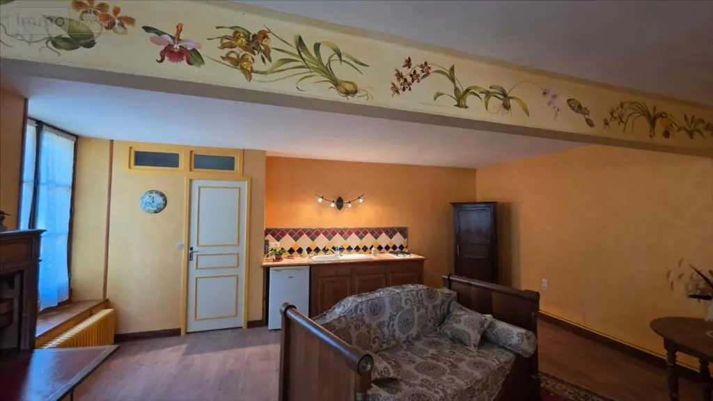 Immeuble de rapport a vendre Châtillon-sur-Indre 36700 Indre 36 2500 m2 319500 euros 021/1598 015