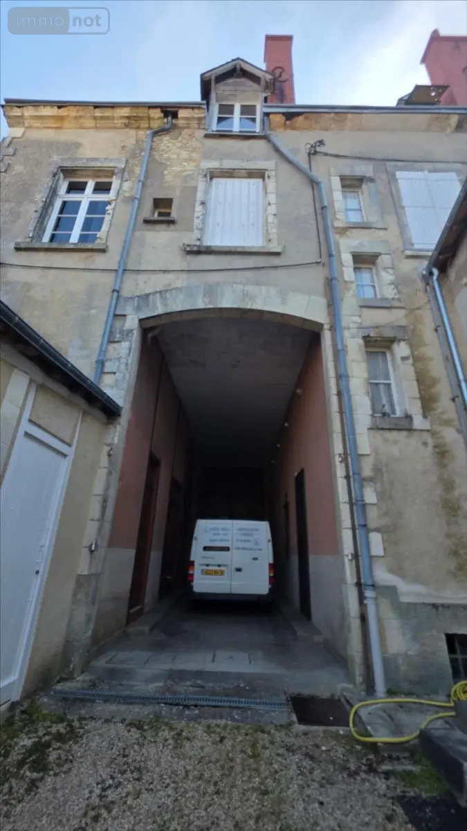 Immeuble de rapport a vendre Châtillon-sur-Indre 36700 Indre 36 2500 m2 319500 euros 021/1598 003