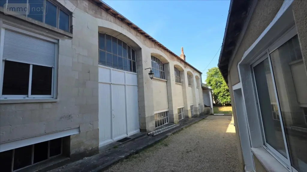Immeuble de rapport a vendre Châtillon-sur-Indre 36700 Indre 36 2500 m2 319500 euros 021/1598 004