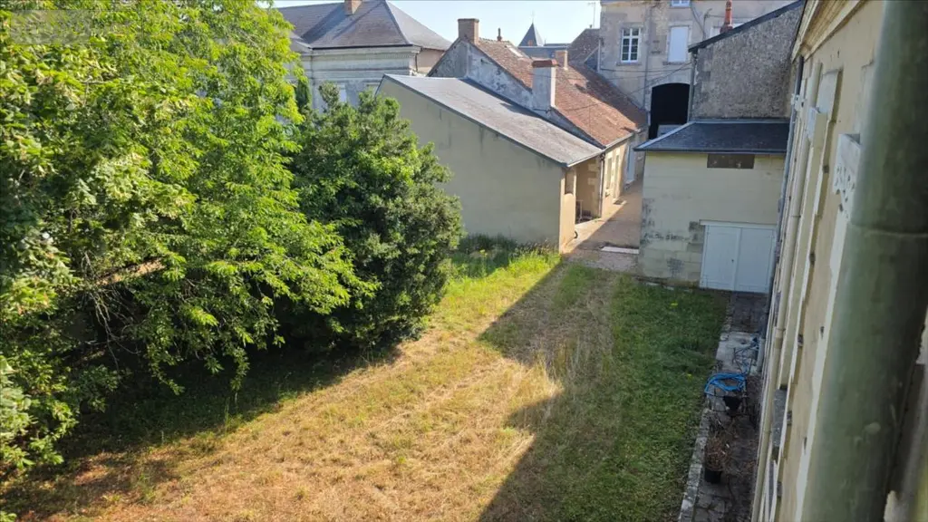 Immeuble de rapport a vendre Châtillon-sur-Indre 36700 Indre 36 2500 m2 319500 euros 021/1598 005