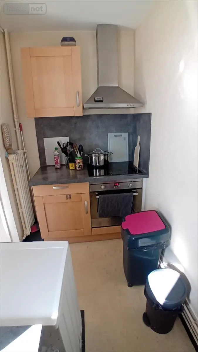 Appartement a vendre Le Mans 72000 Sarthe 72 54 m2 2 pièces 86000 euros 72012-1092886 013
