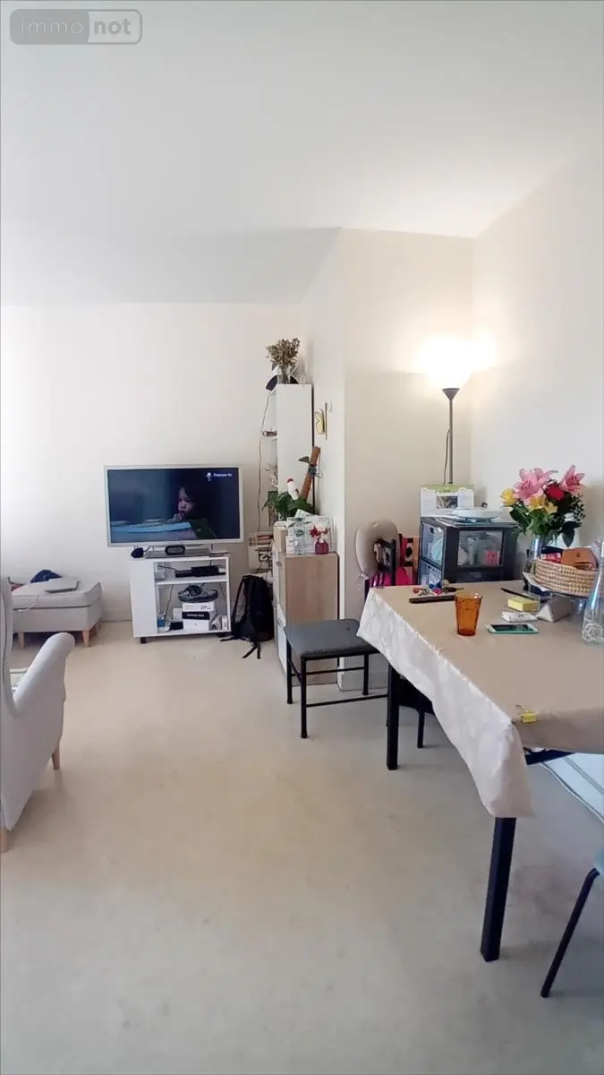 Appartement a vendre Le Mans 72000 Sarthe 72 54 m2 2 pièces 86000 euros 72012-1092886 019