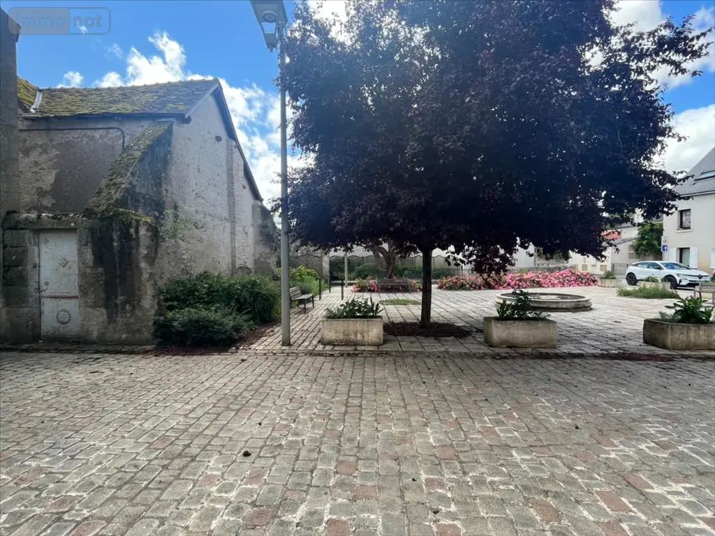 Maison a vendre Valloire-sur-Cisse 41150 Loir-et-Cher 41 155 m2 7 pièces 116870 euros 41002-1092702 014