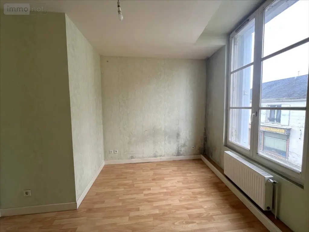 Maison a vendre Valloire-sur-Cisse 41150 Loir-et-Cher 41 155 m2 7 pièces 116870 euros 41002-1092702 005