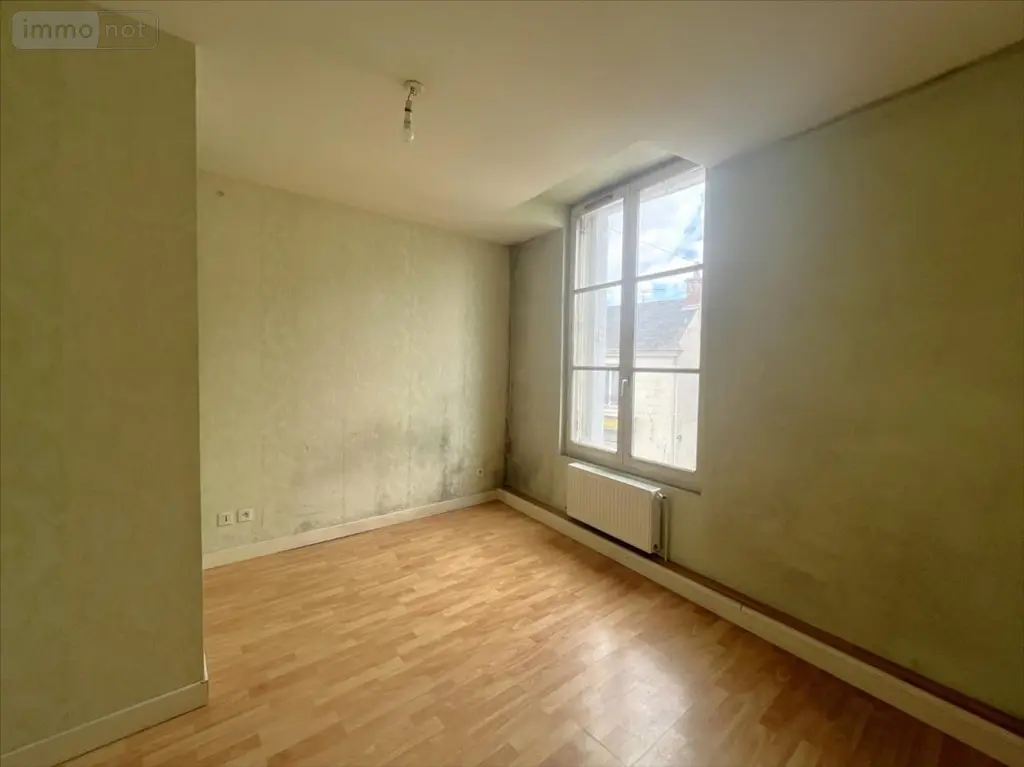 Maison a vendre Valloire-sur-Cisse 41150 Loir-et-Cher 41 155 m2 7 pièces 116870 euros 41002-1092702 006